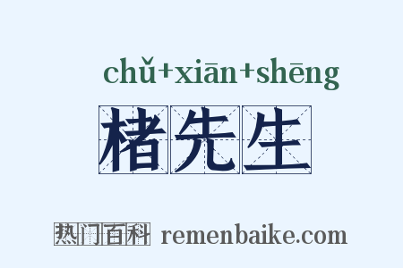 楮先生是什么意思的图片